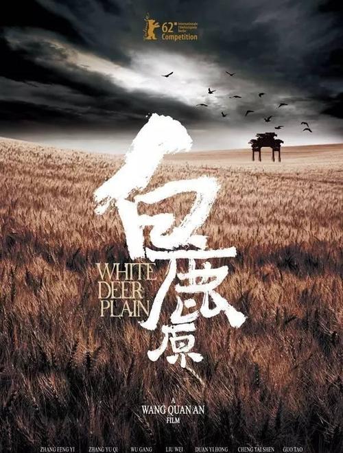 印度旁遮普邦驾照怎么买到